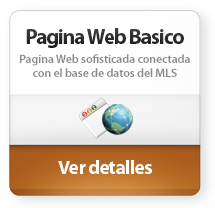 Basic website es