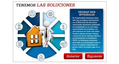 1. PS Agents - Solutions -  Inadequate Website.jpg