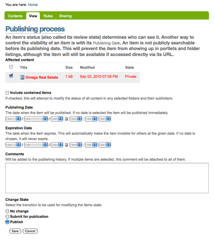 publishing process