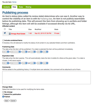 publishing process